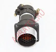 2РМТ24БПН19Ш1В1В вилка фото